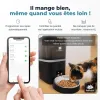 Test Distributeur croquettes Chat Automatique PetPalace : enfin un vrai contrôle à distance (avec quelques limites)