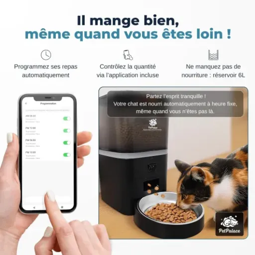 Test Distributeur croquettes Chat Automatique PetPalace : enfin un vrai contrôle à distance (avec quelques limites)