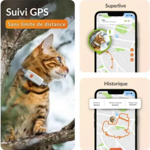 Avis Weenect Chat XS : le mini collier GPS pour suivre son chat à la trace