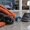 Chat et bébé sous le même toit : les précautions qui font la différence