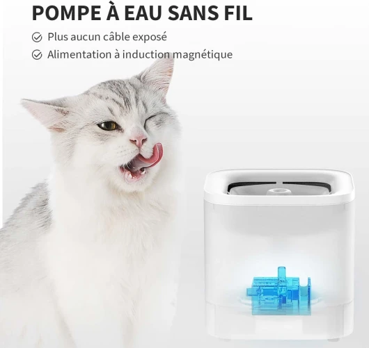 61Fl5G5WPxL._AC_SL1500_