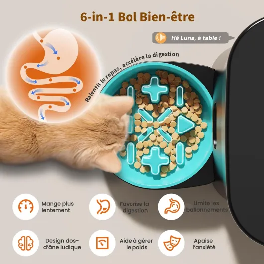 710E pHTY3L._AC_SL1500_