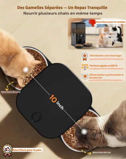 81D-UP2Z2gL._AC_SL1500_