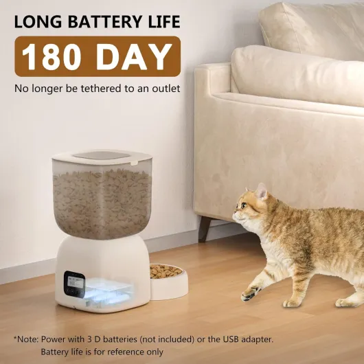 71ZtIJ1hkIL._AC_SL1500_