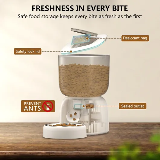 71Q-D0k-XmL._AC_SL1500_