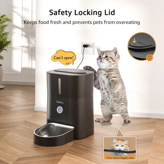 71payrTlCrL._AC_SL1500_