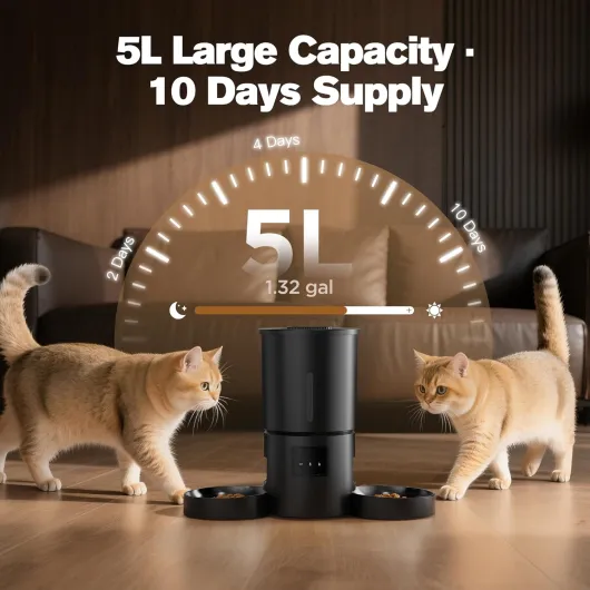 719gvxj6Q5L._AC_SL1500_