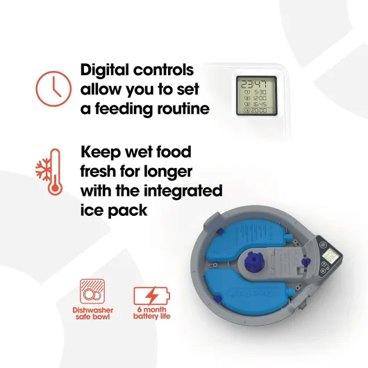 718JAjFOBuL._AC_SL1500_