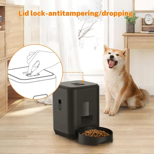 71T-Ld441yL._AC_SL1500_