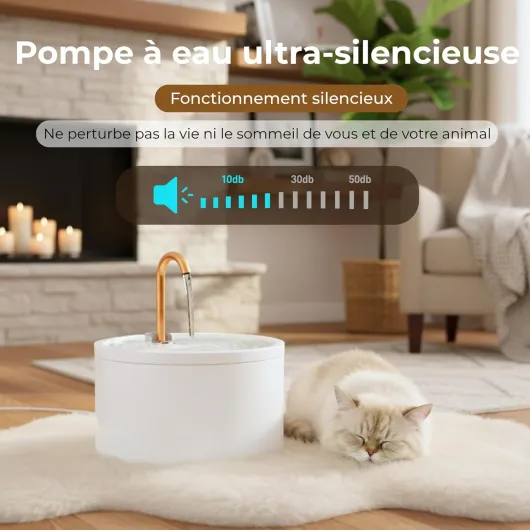 71neSu0f7zL._AC_SL1500_