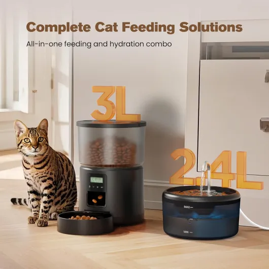 71ban6JXrPL._AC_SL1500_