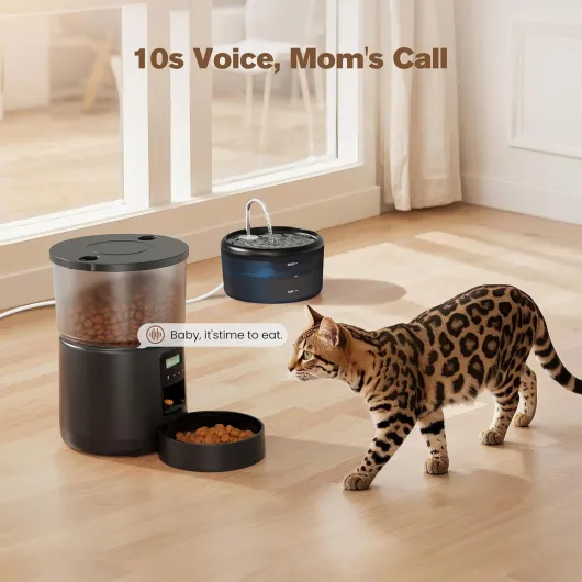 71GBnU-ElEL._AC_SL1500_