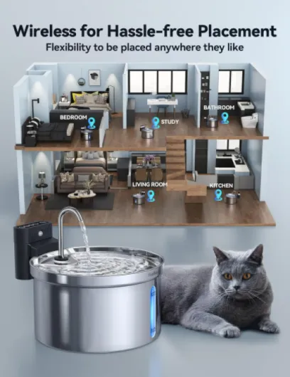 71ShoOjQt1L._AC_SL1500_