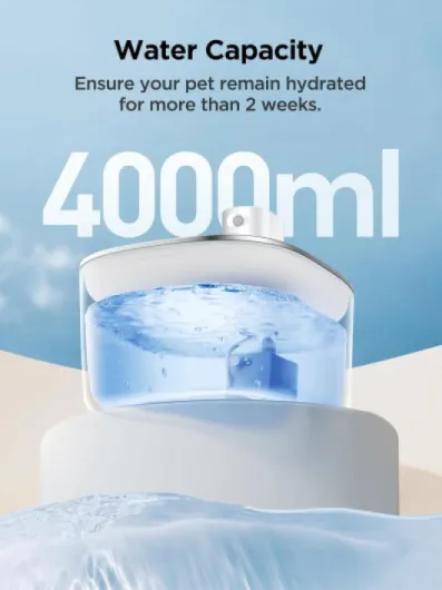 61nZbUYgAkL._AC_SL1500_