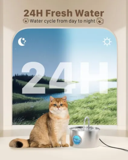 71PtKF4WiFL._AC_SL1500_