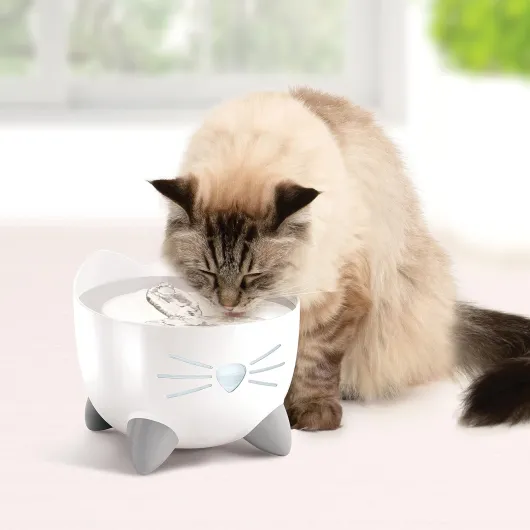Pixi Abreuvoir Fontaine en Acier Inoxydable pour Chats, 2,5 l, Blanc