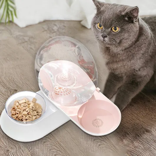 71MoumEHluL._AC_SL1500_