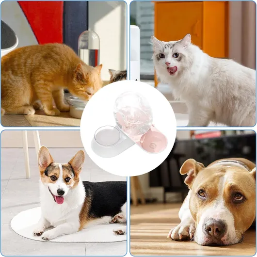 71DMz-bP-fL._AC_SL1500_