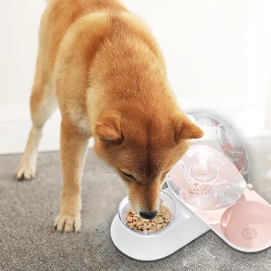 71WvlgSa1xL._AC_SL1500_