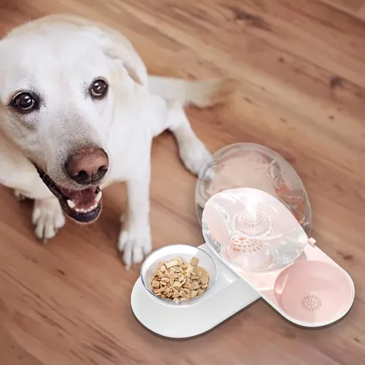 Distributeur Automatique d'eau pour Chats,Abreuvoir à Siphon Résistant aux Renversements avec Mangeoire - Abreuvoir Automatique pour Chien - pour Chiots Chats Lapins et Autres Petits Animaux Rose B