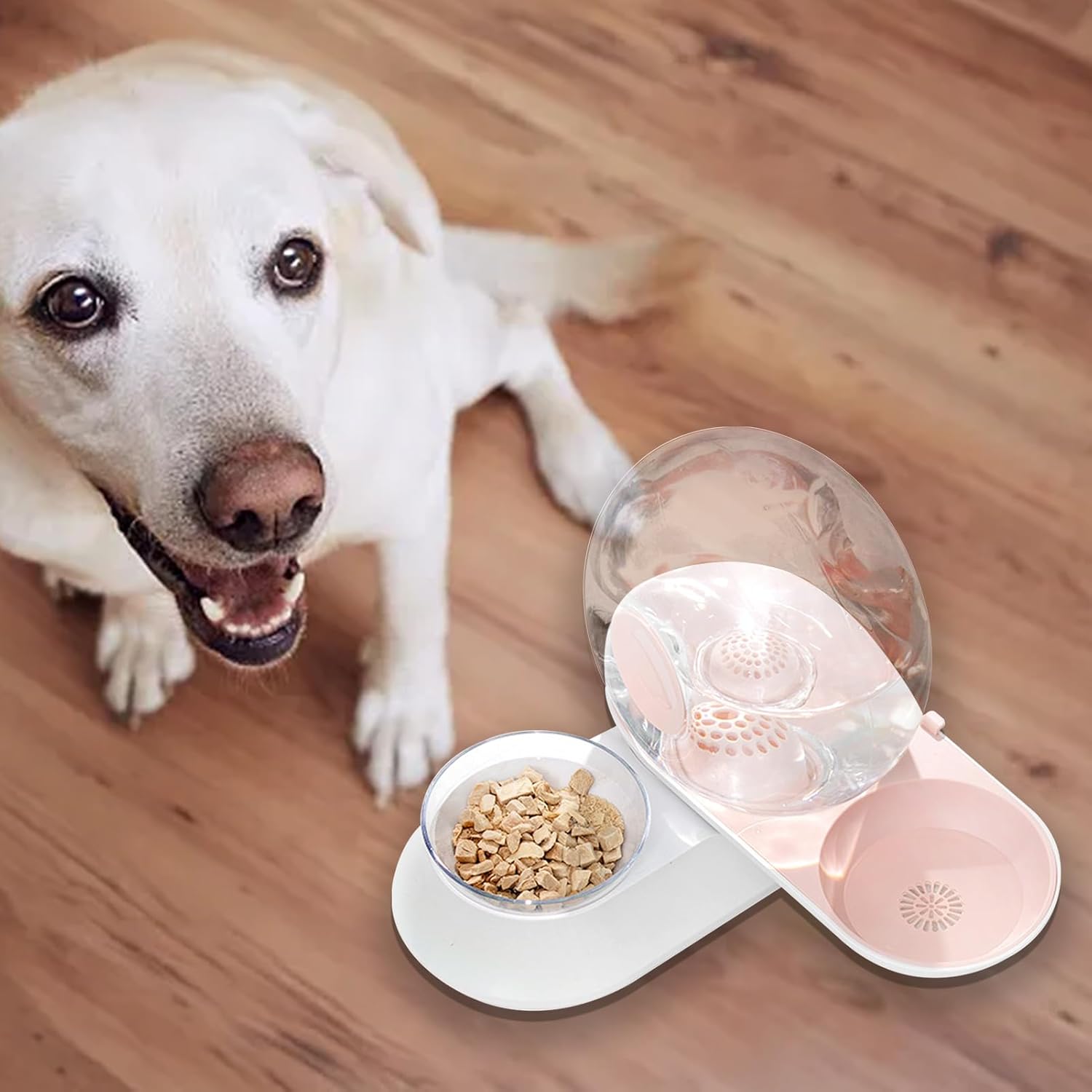 Distributeur d'eau pour Animaux Domestiques - Abreuvoir à Siphon en Forme d'Escargot pour Animaux avec Bol d'alimentation,Réservoir d'eau pour Chien - pour Chats Chiens Lapins Toutes Races Rose B