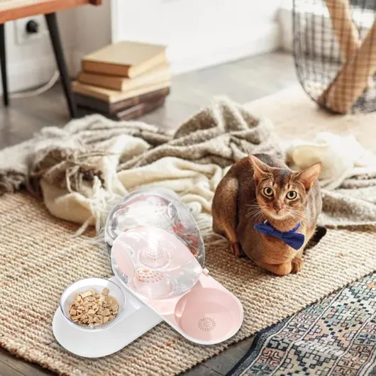 71g7EcHLALL._AC_SL1500_