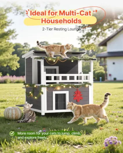 81Jgc1opPIL._AC_SL1500_