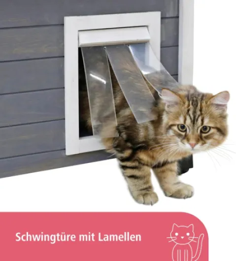 81iCIpp 9EL._AC_SL1500_