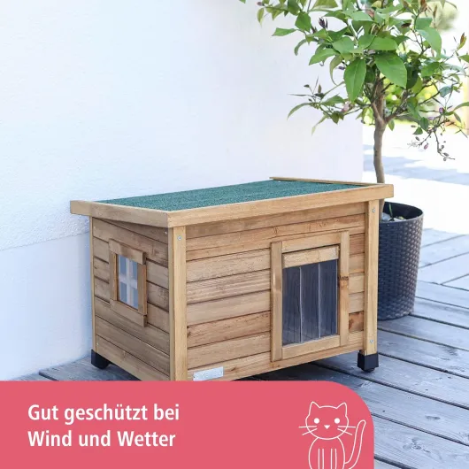 81Dop2PP8FL._AC_SL1500_