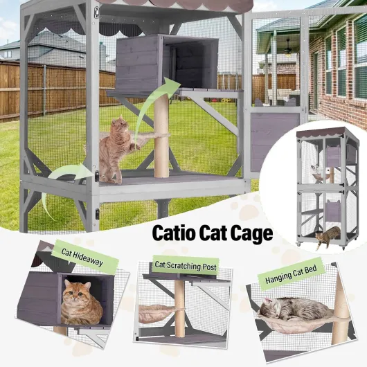 81bb2LbmC3L._AC_SL1500_