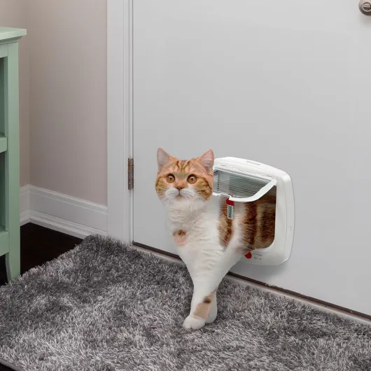 814Ic G68RL._AC_SL1500_