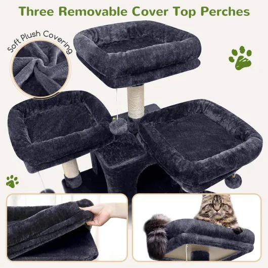 812RP CV55L._AC_SL1500_