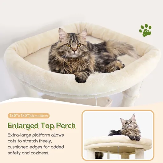 71gpBo SPWL._AC_SL1500_