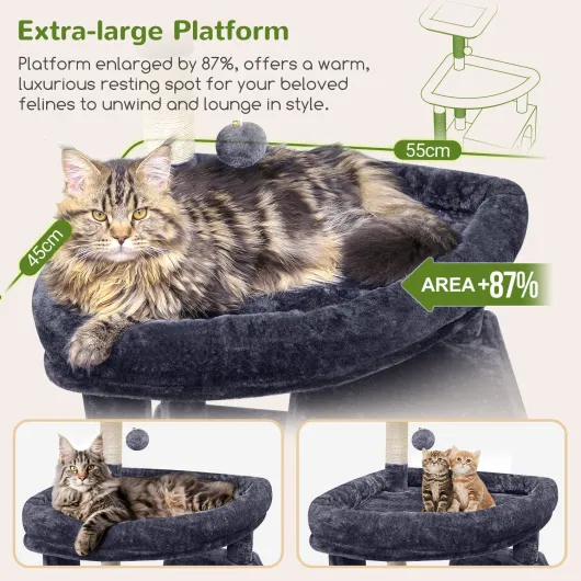 81usEWho5RL._AC_SL1500_