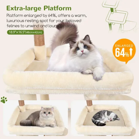 71MtCj9mjfL._AC_SL1500_