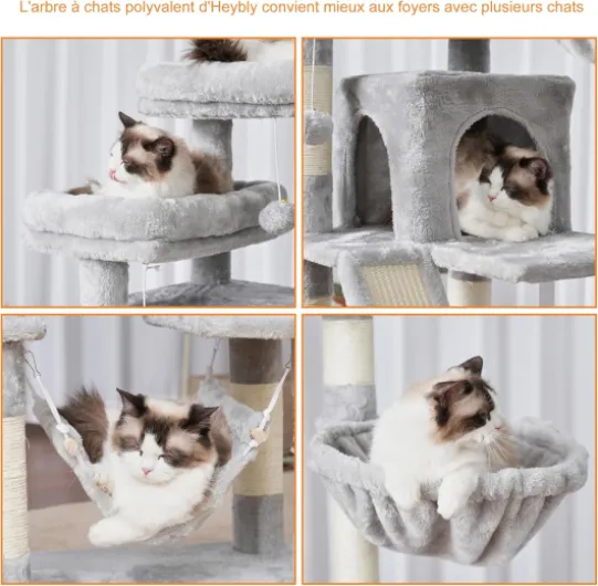 81e2hGZ83VL._AC_SL1500_