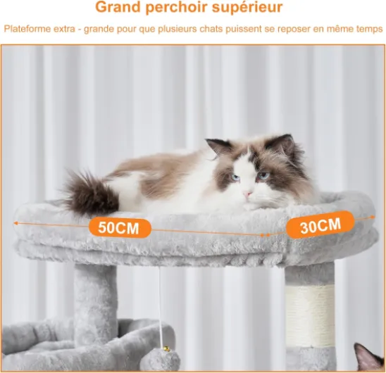 71mm5521HNL._AC_SL1500_