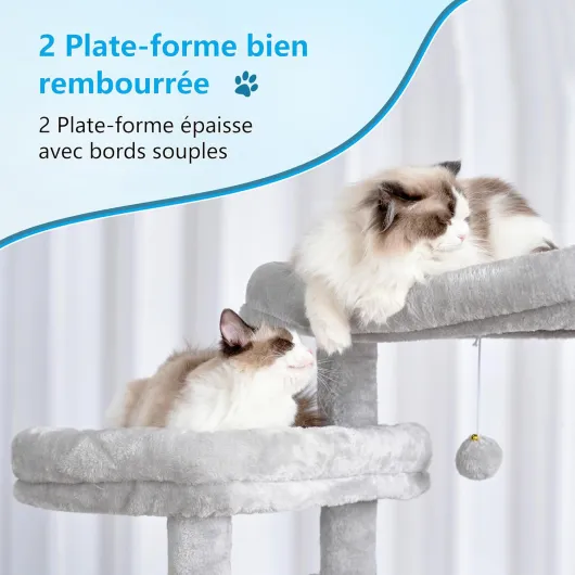 71e8A3dfo L._AC_SL1500_