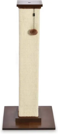 513iFNSpg6L._AC_SL1200_