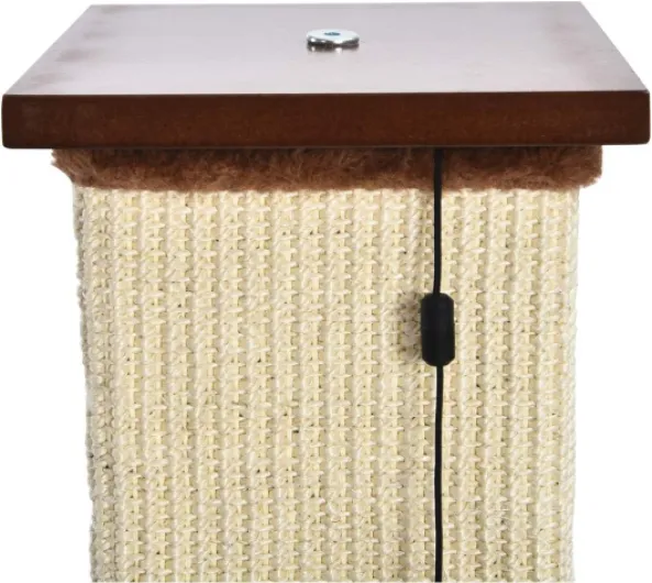 71H9haGCQAL._AC_SL1200_