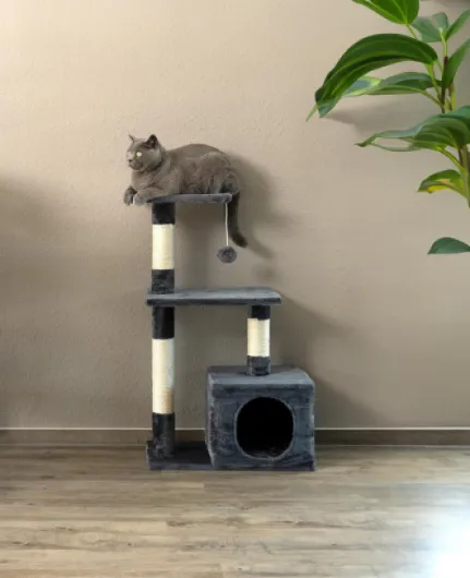 71sDgYE4AwL._AC_SL1500_