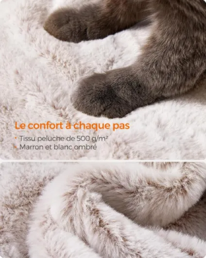 81tUJZFMNEL._AC_SL1500_