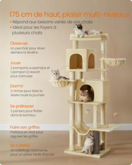 81p 4FqWq6L._AC_SL1500_