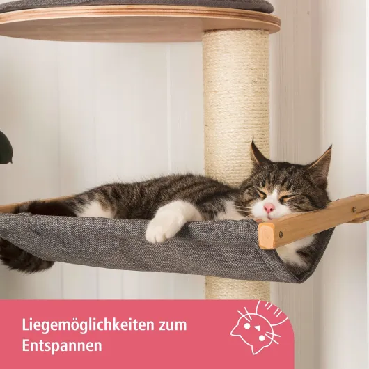 81bgnN8Hk3L._AC_SL1500_