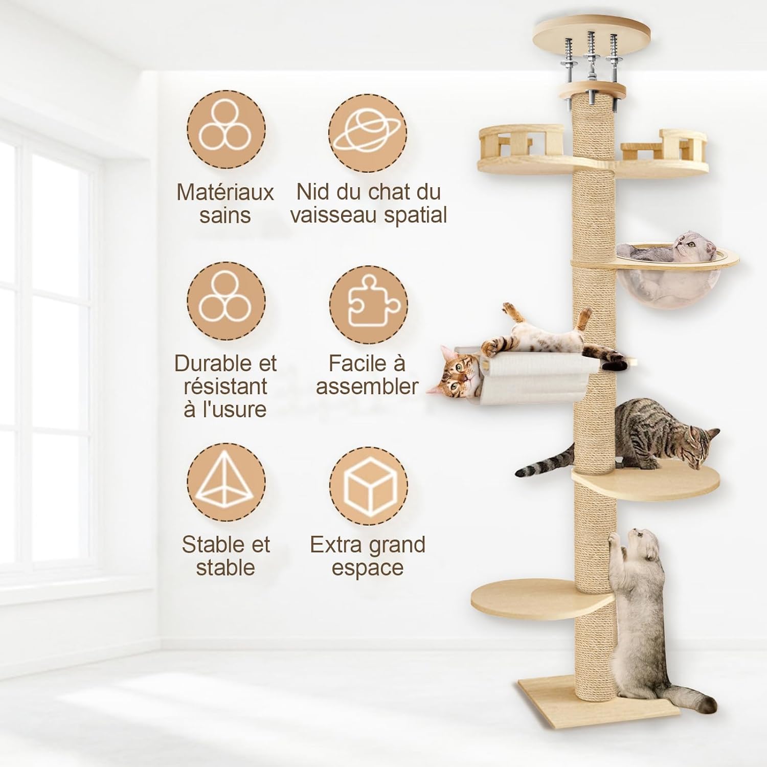 Arbre à Chat Plafond Réglable 300 cm – Grand Arbre à Chat avec Hamac, Niche et Plateformes pour Chats d’Intérieur et Maine Coon