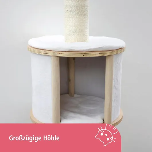 71dBGgSxw7L._AC_SL1500_