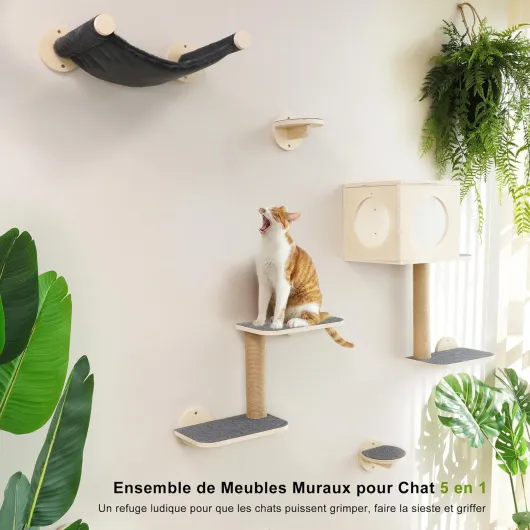 81Y76f38lrL._AC_SL1500_