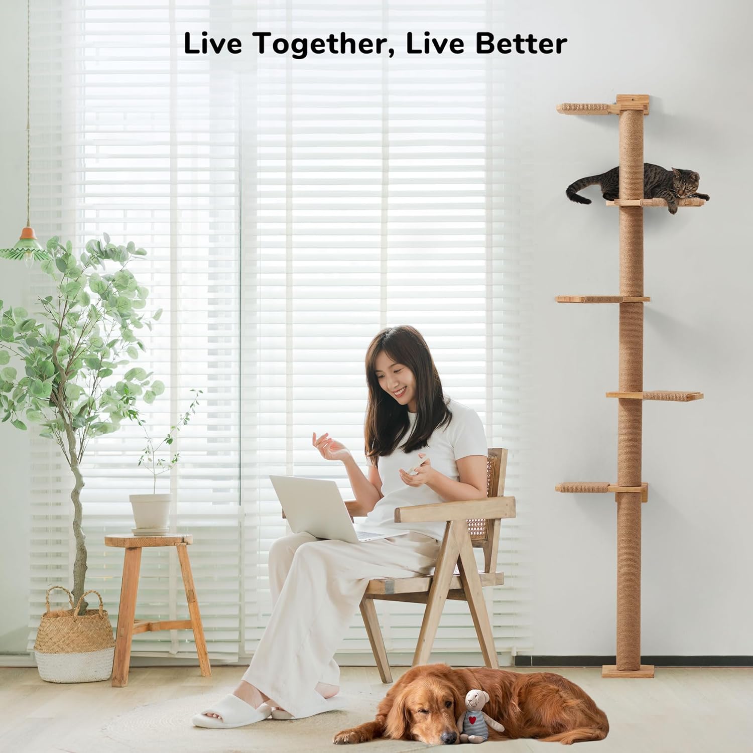 Arbres à Chat 205,7 cm, 5 Étages du Sol au Plafond, Griffoir Mural pour Chat, Étagères Murales pour Chat, pour Grimper, Gratter, Observer et Jouer Large