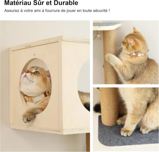 81zDLhy87LL._AC_SL1500_