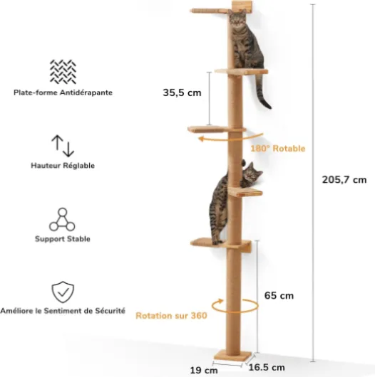 71S-3PG3LkL._AC_SL1500_